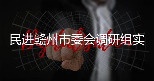 研组项目调研会调民进赣州赣州餐厨市委实地